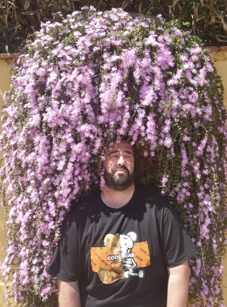 José A. Morales-García 👨‍🔬 🇪🇸🍉 tweet media