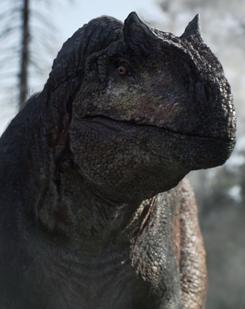 ✨ Louisa Kamata ✨ tweet media