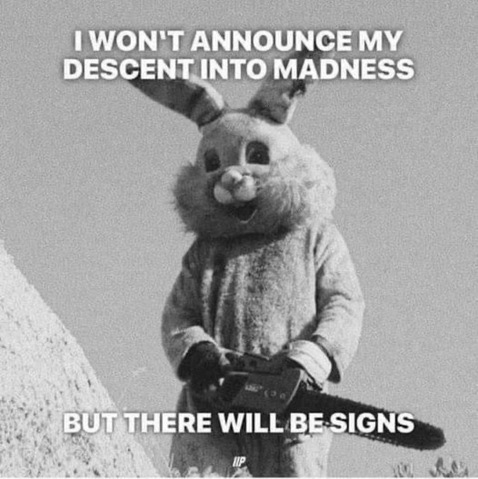 Kelly 💫 tweet media