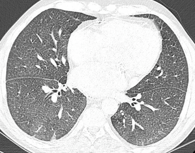 Dra. Cecilia Ferrario tweet media