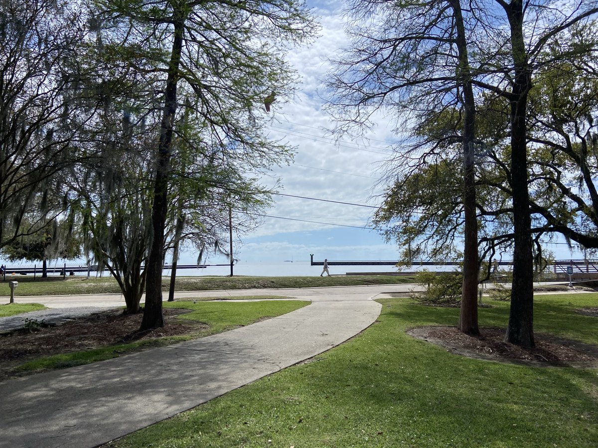 Matt Peale tweet media