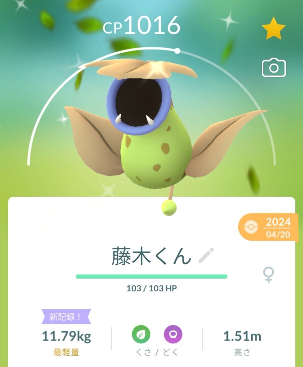 sun_switch's tweet photo. 藤木くんこと、ウツボットがメガシンカした✨
#ポケモンGO https://t.co/NlB1DYk3j0