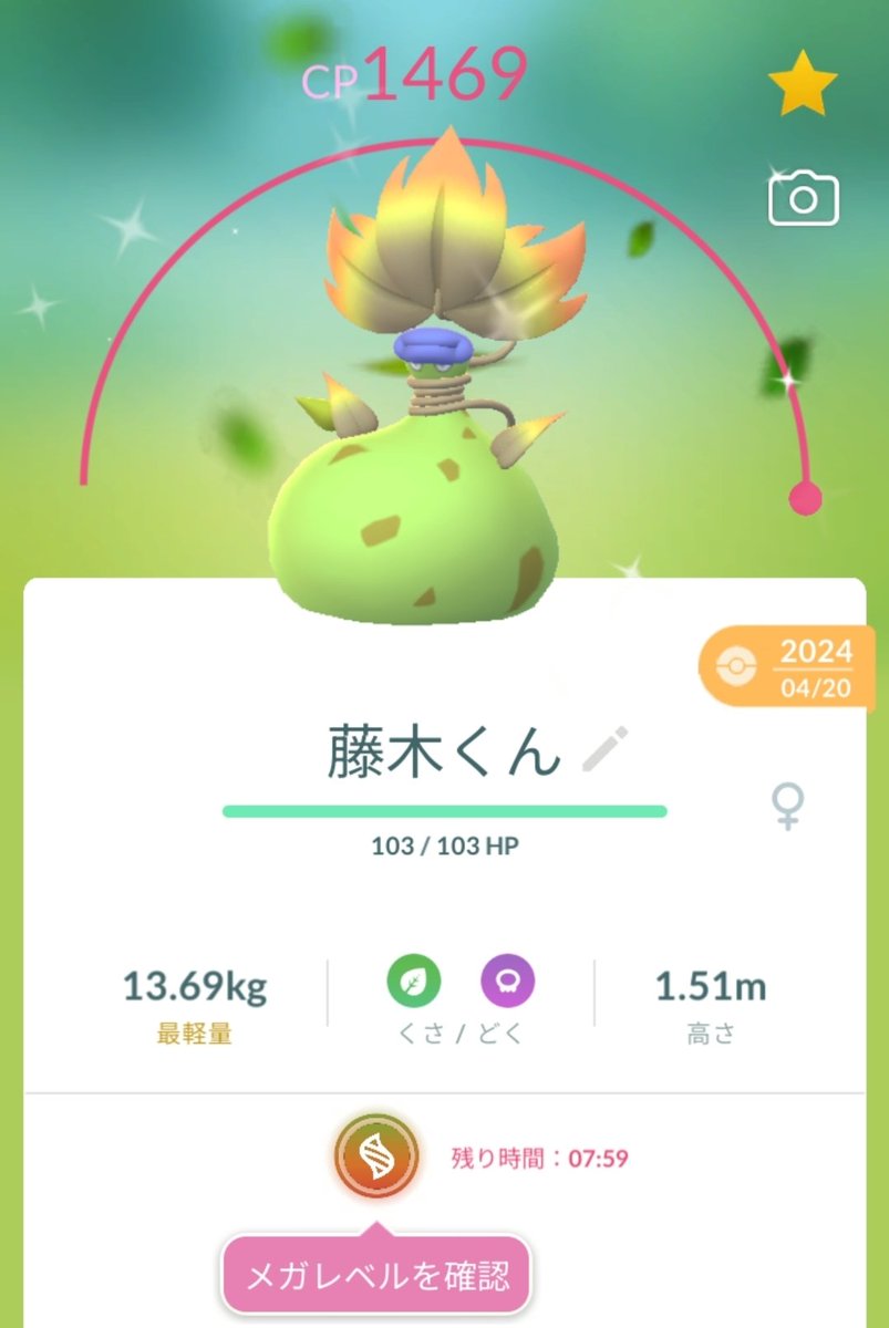 sun_switch's tweet photo. 藤木くんこと、ウツボットがメガシンカした✨
#ポケモンGO https://t.co/NlB1DYk3j0