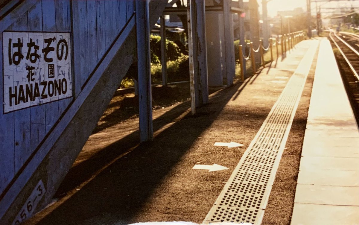 としぼう tweet media