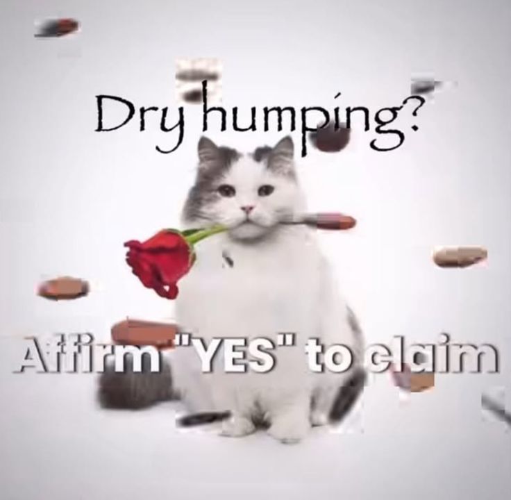 🐾Puppy boy 🐾 tweet media