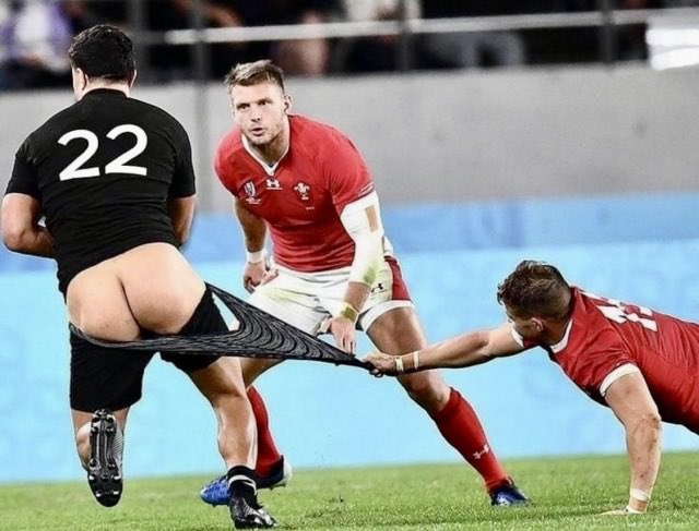 AlphasRuleOk! tweet media