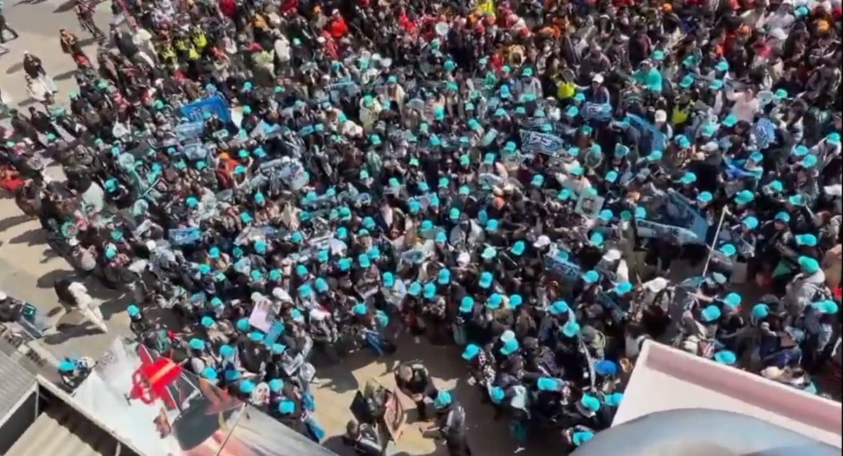 Regular, Ordinary Ava. tweet media