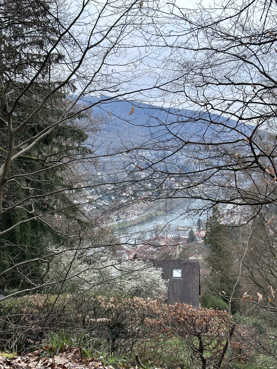 Gaia-Uranus tweet media