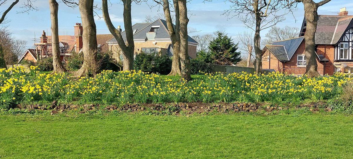 DR SIMON LEE tweet media