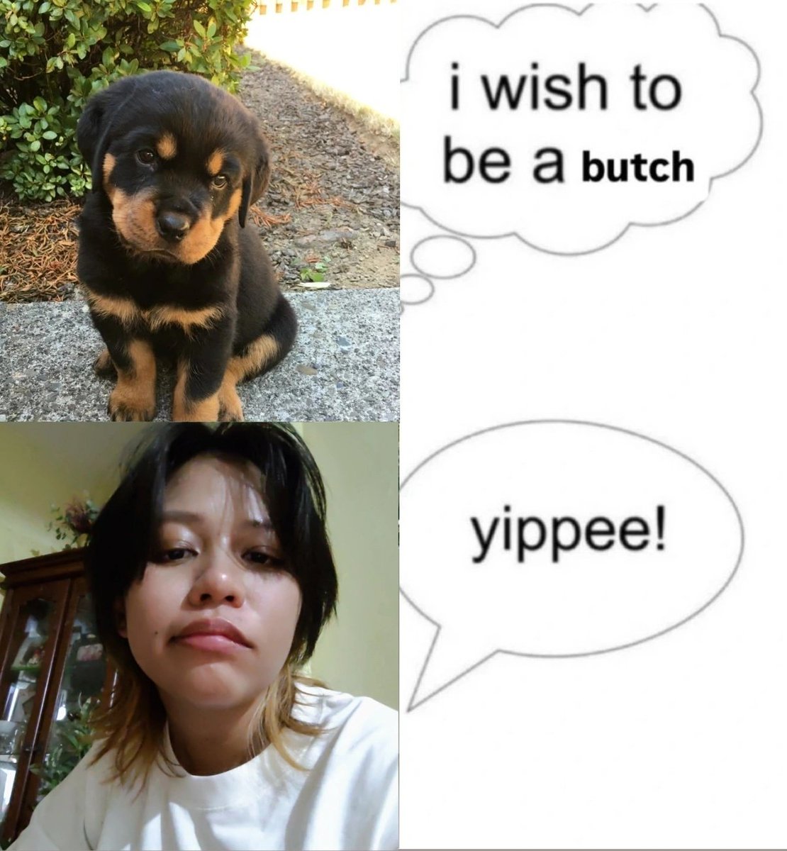 nova ⚢ tweet media