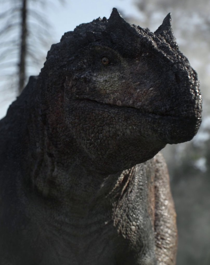 ✨ Louisa Kamata ✨ tweet media