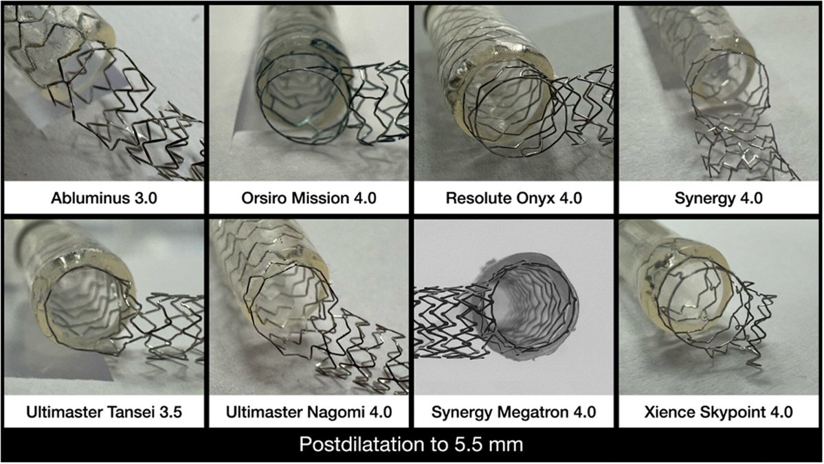 Giuseppe Biondi-Zoccai tweet media