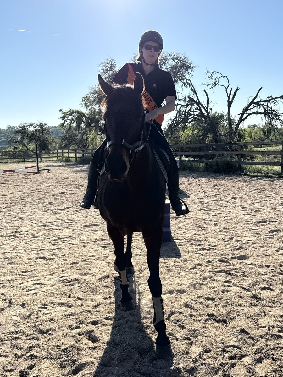 Glorious Alliance tweet media