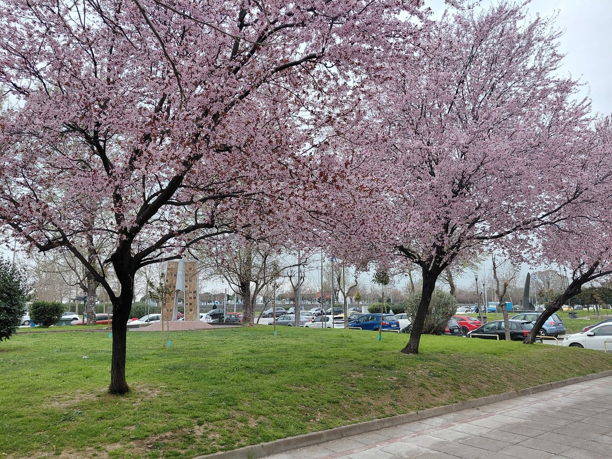 chriszioga's tweet image. Good morning, @mdlozanoe! What a blessing to have friends like you 🫶 #cytopath #cytology #pathfamily #cytofriends Greetings from #Greece 😉