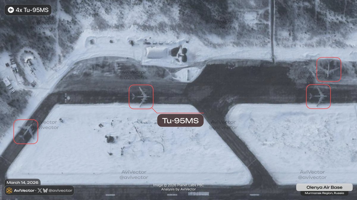 AviVector tweet media