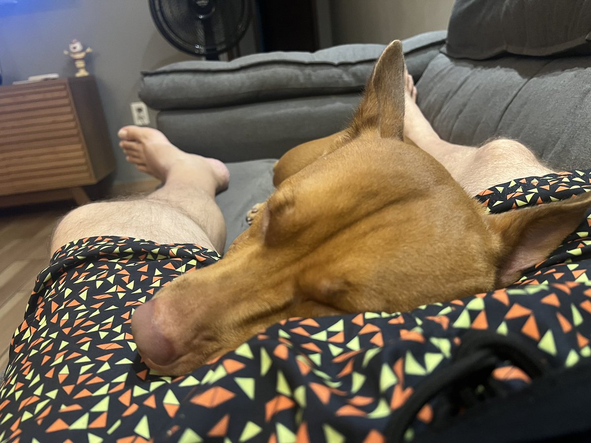 Dopo una giornata di lavoro un pò di relax sul divano,
#Nina #Moka #MyDog #IlMioCane #Cachorro #ViraLata #Meticcio #DogLover #MyDog