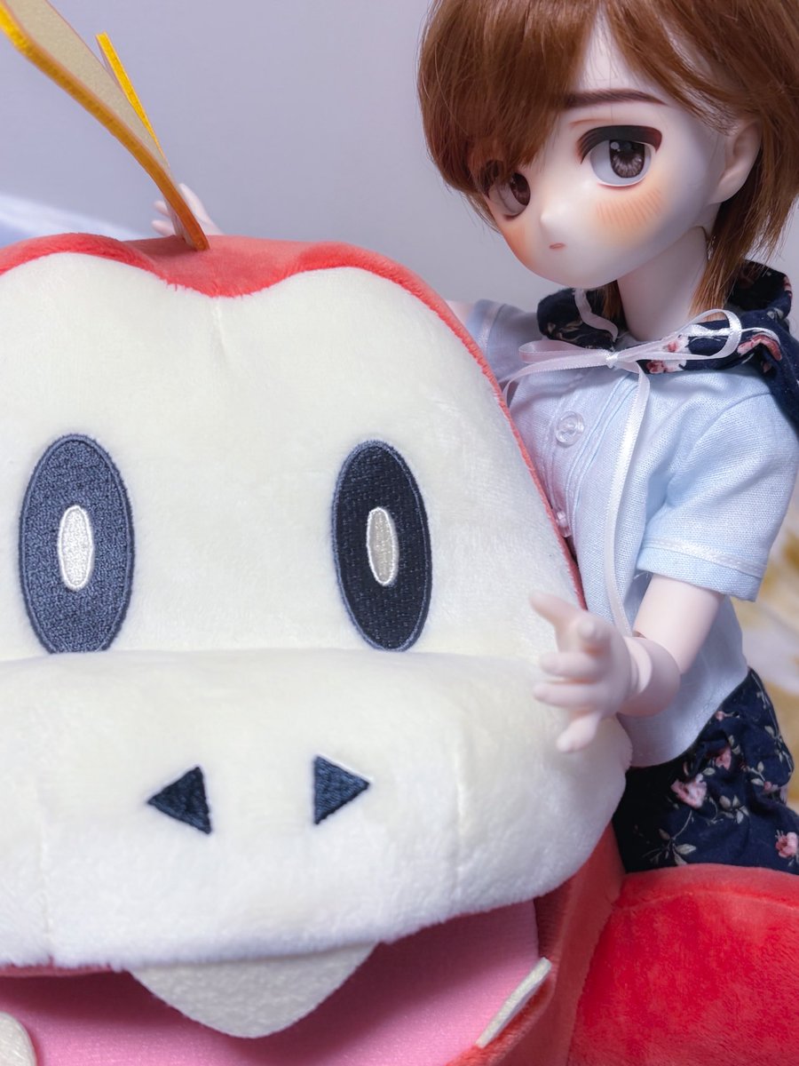 塩野たまご🍳 tweet media