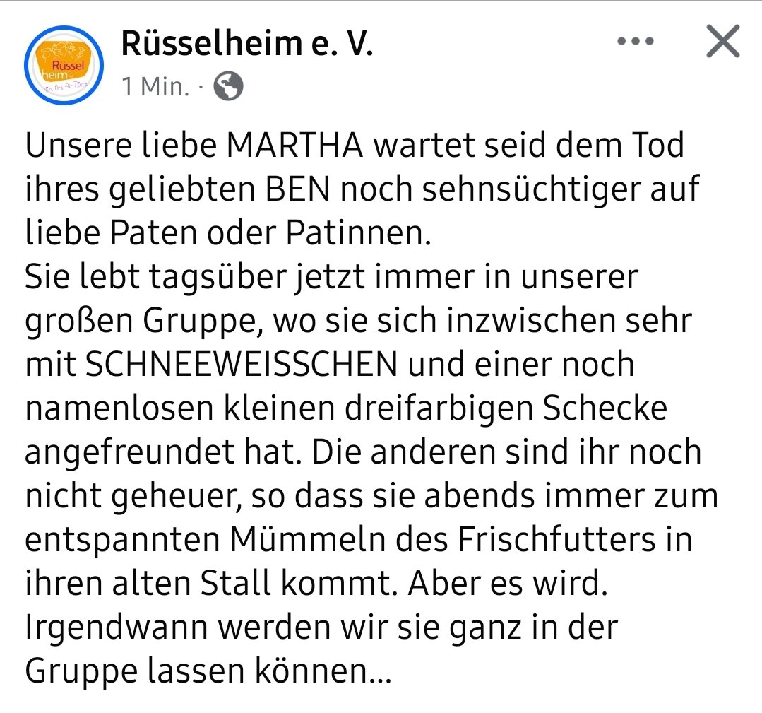 Rüsselheim e. V. tweet media