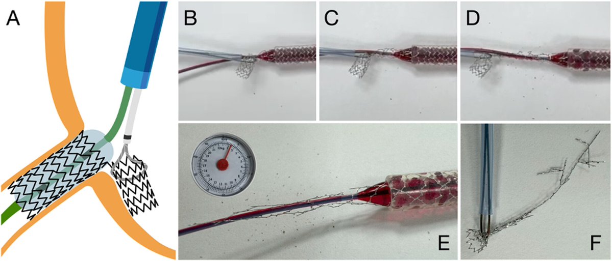Giuseppe Biondi-Zoccai tweet media
