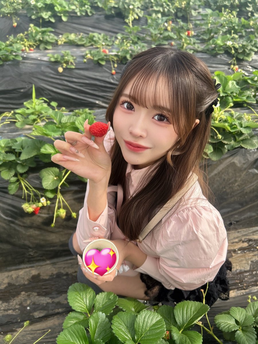 あんにゃ🐱 tweet media