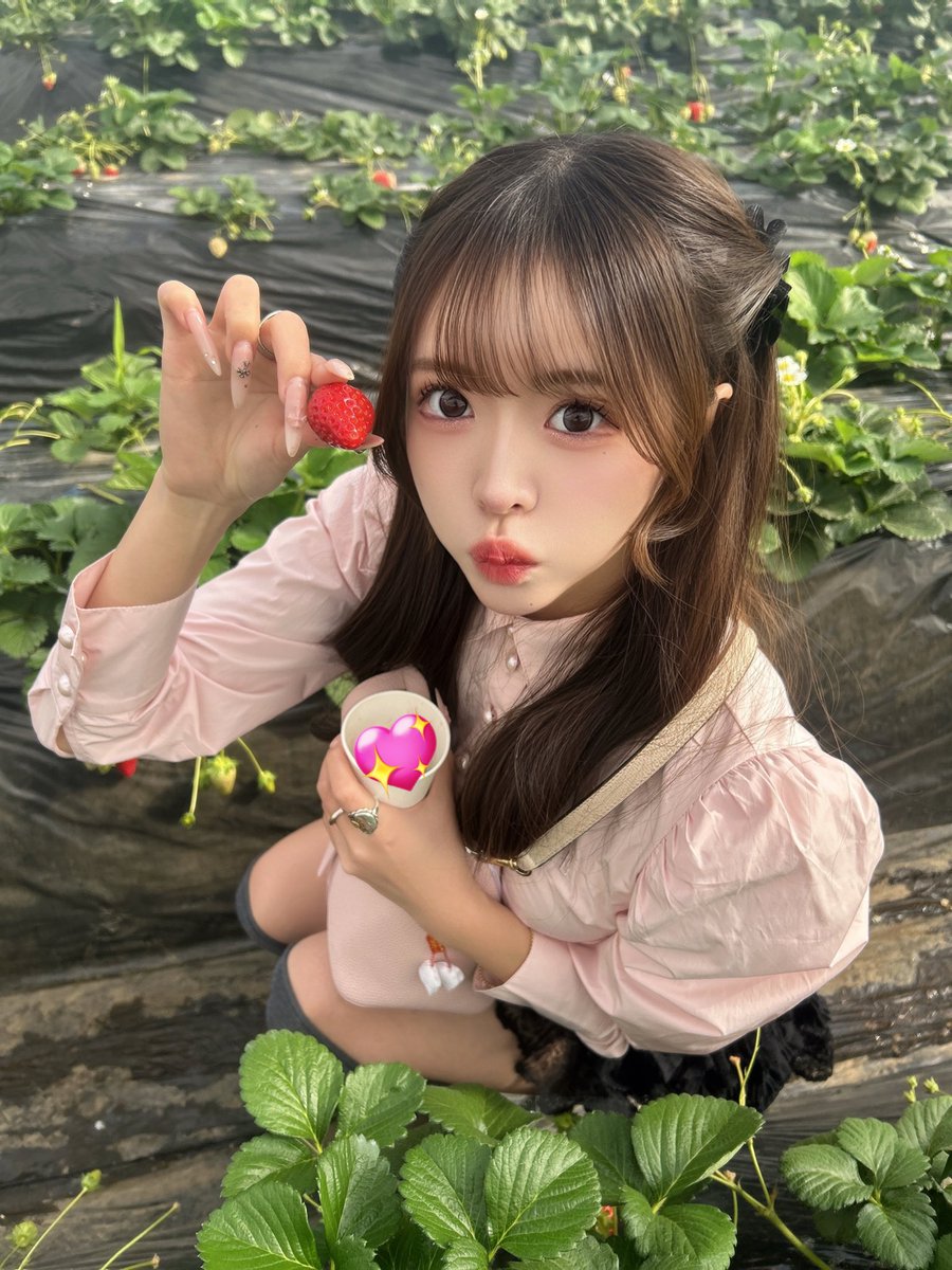 あんにゃ🐱 tweet media