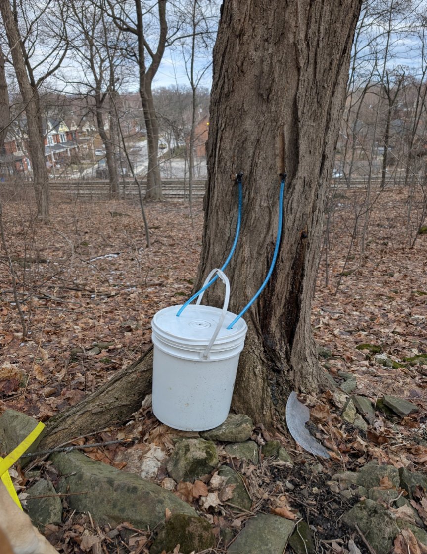 Andrew Selman tweet media