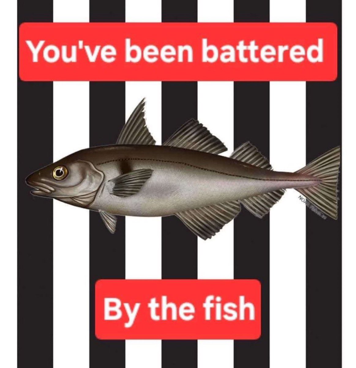 Fish Across The Pond tweet media