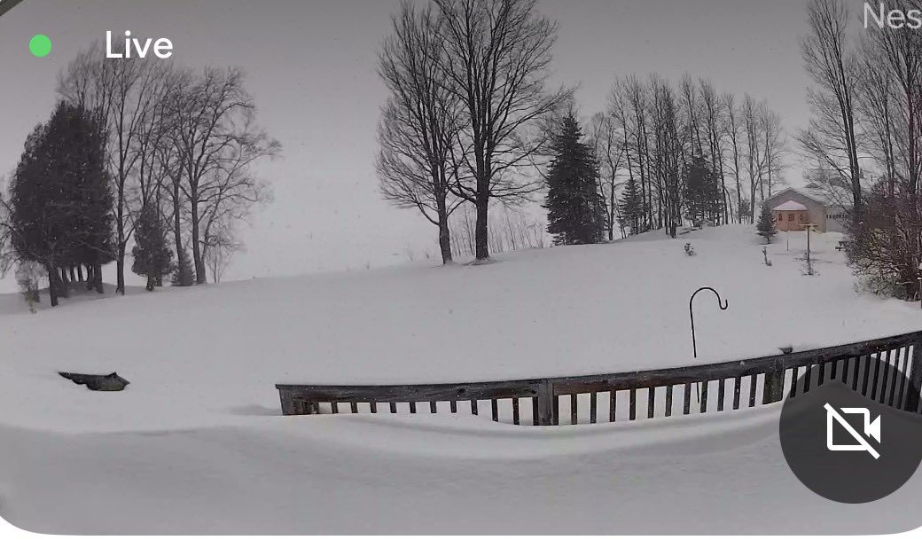 William Comai tweet media