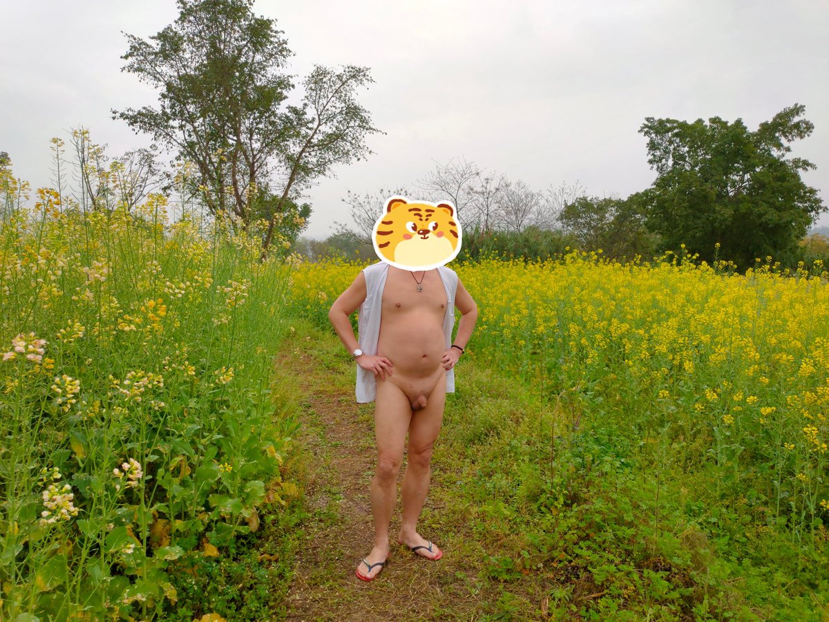 变熊的德鲁伊 tweet media