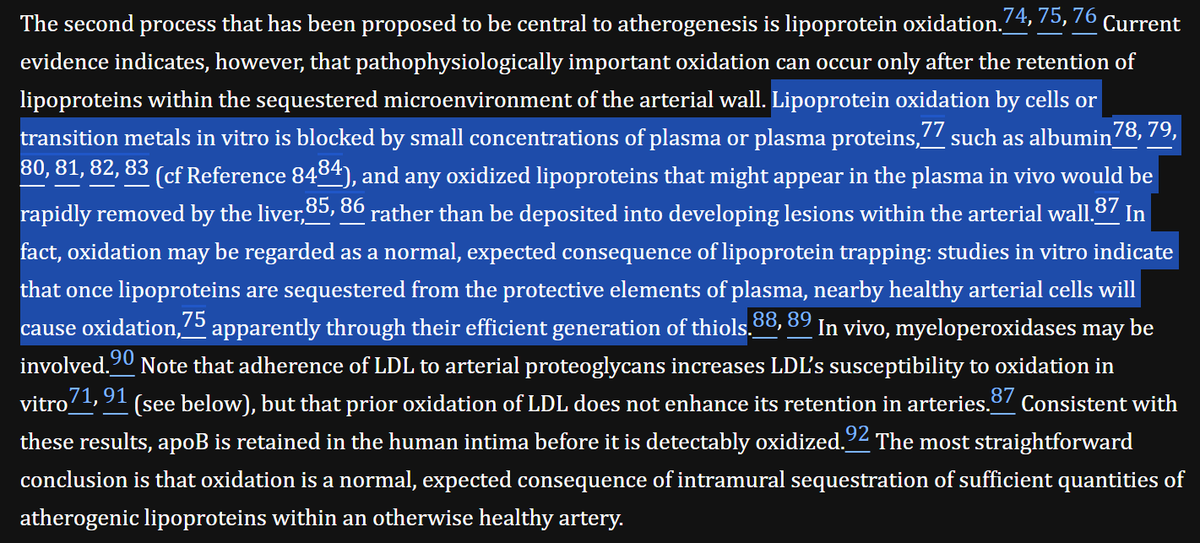 Christoffer Baustad Nilsen 🐈‍ tweet media