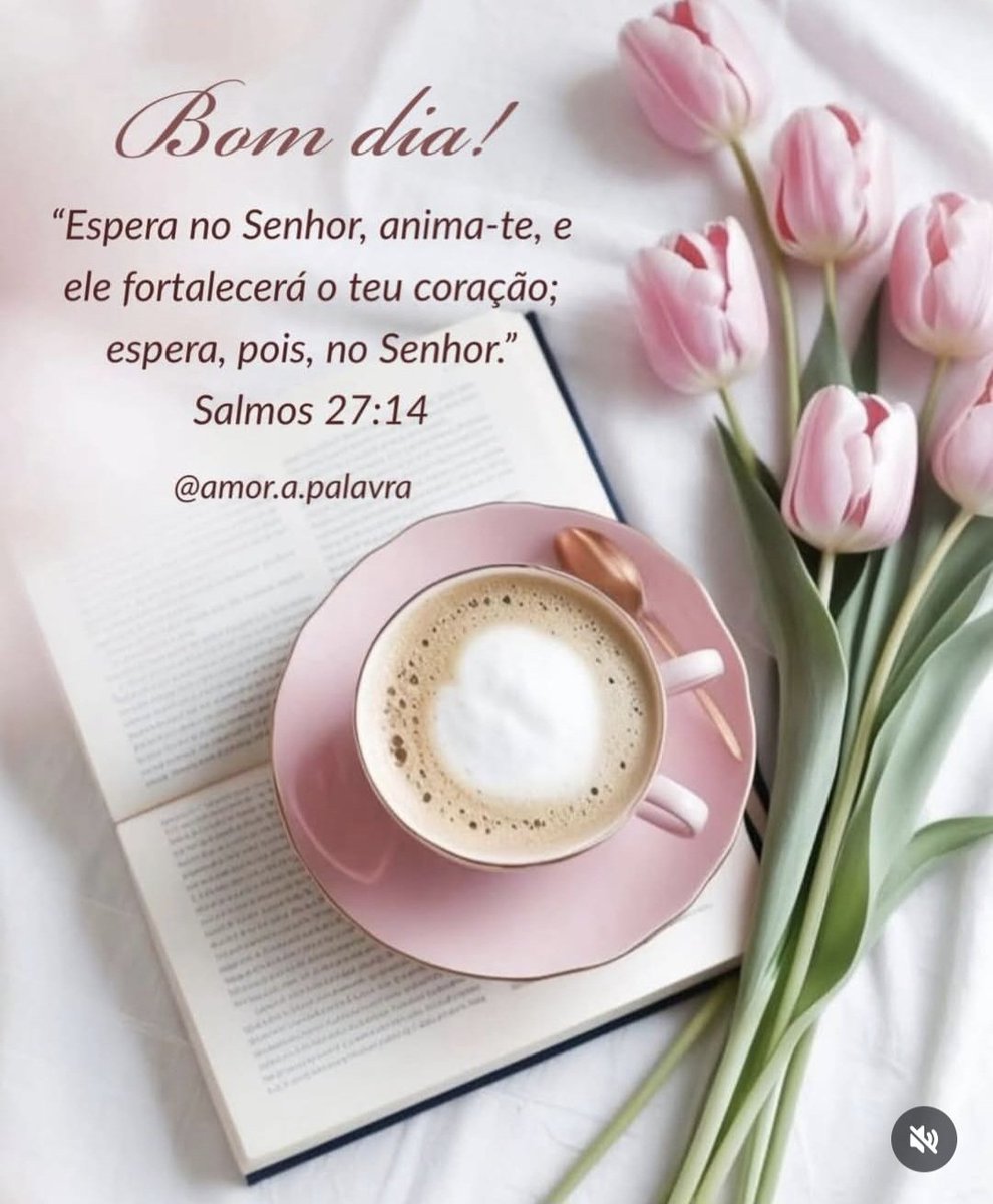 Ester Lobo Tavares R tweet media