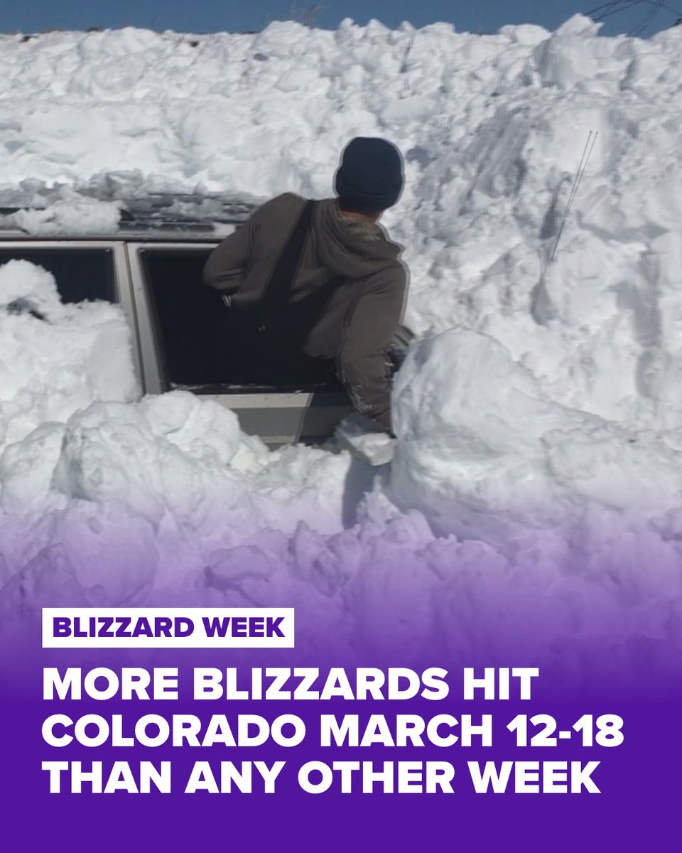 9NEWS Weather tweet media