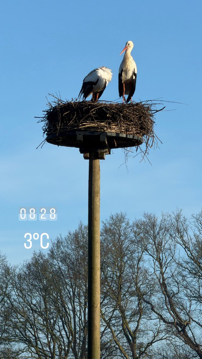 Lodewijk D tweet media