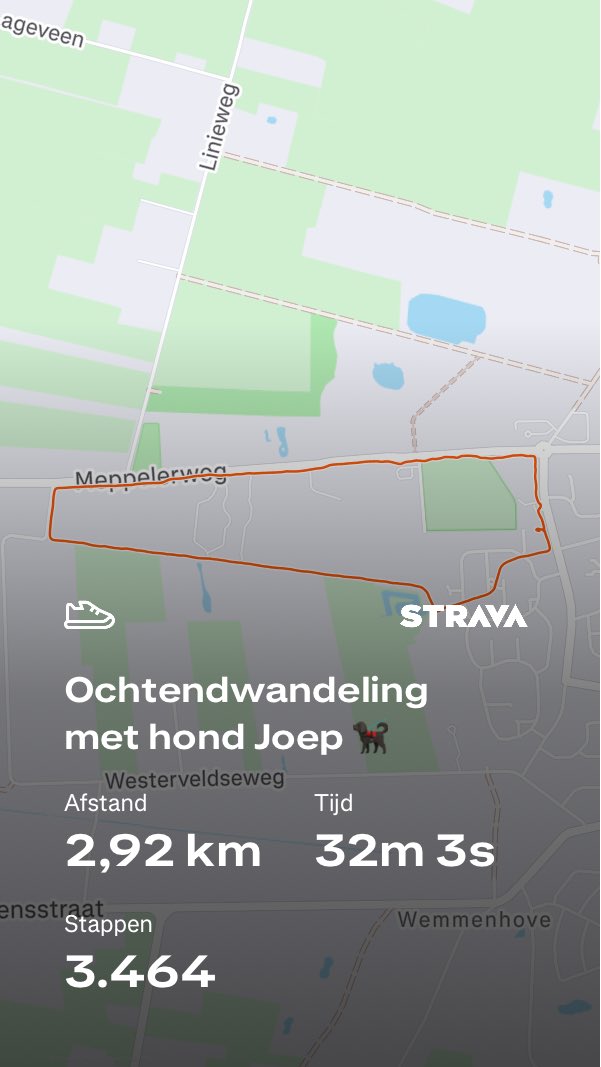 Lodewijk D tweet media