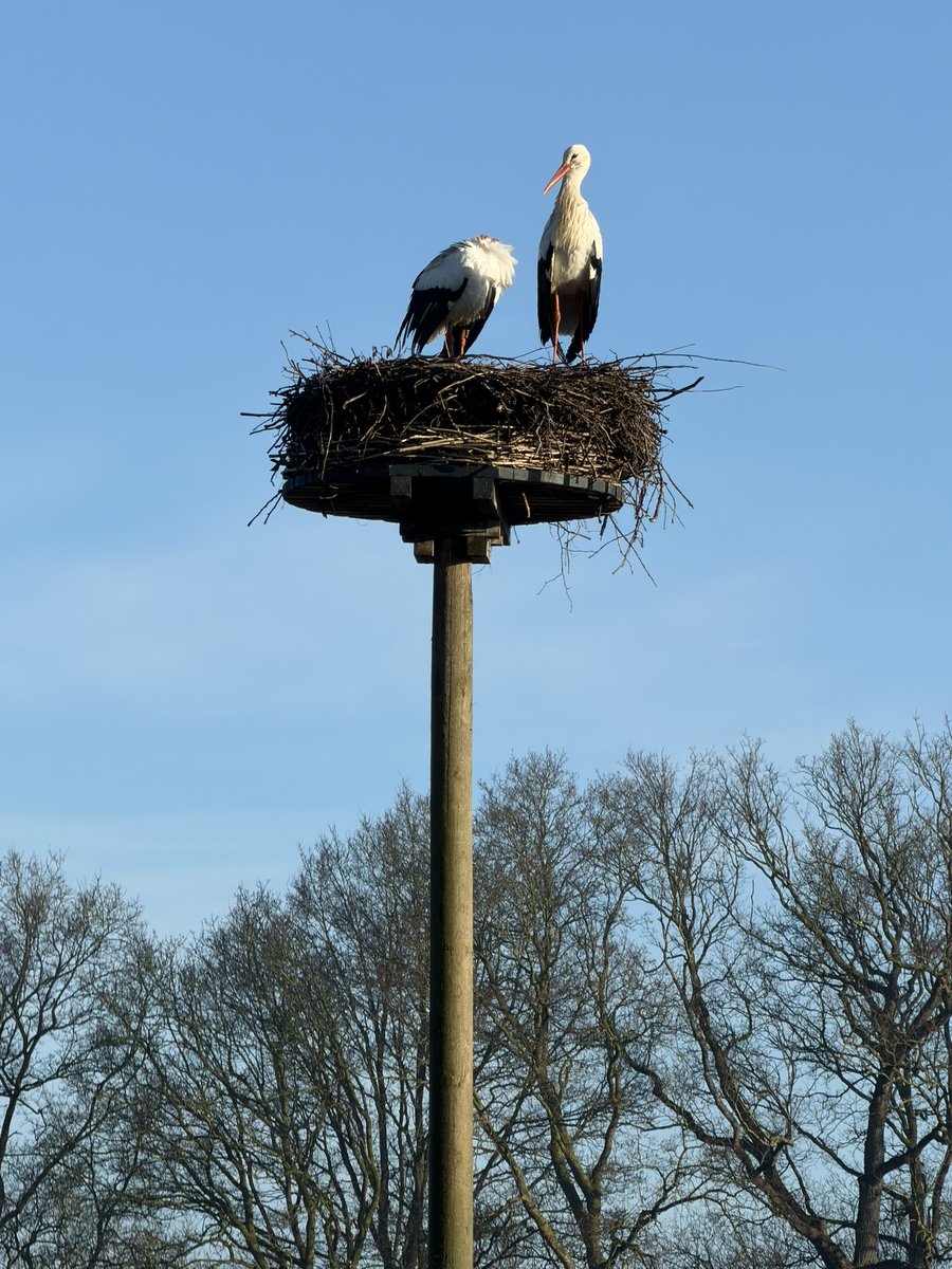 Lodewijk D tweet media