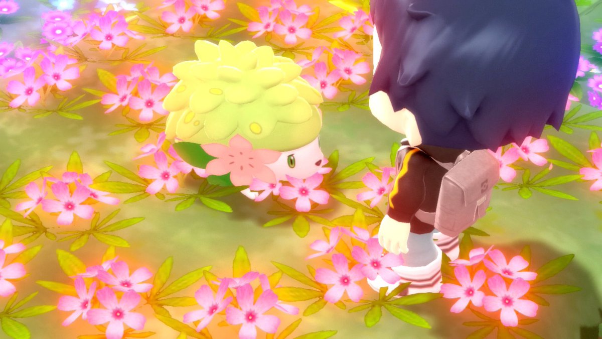 Hidden Power Podcast tweet media