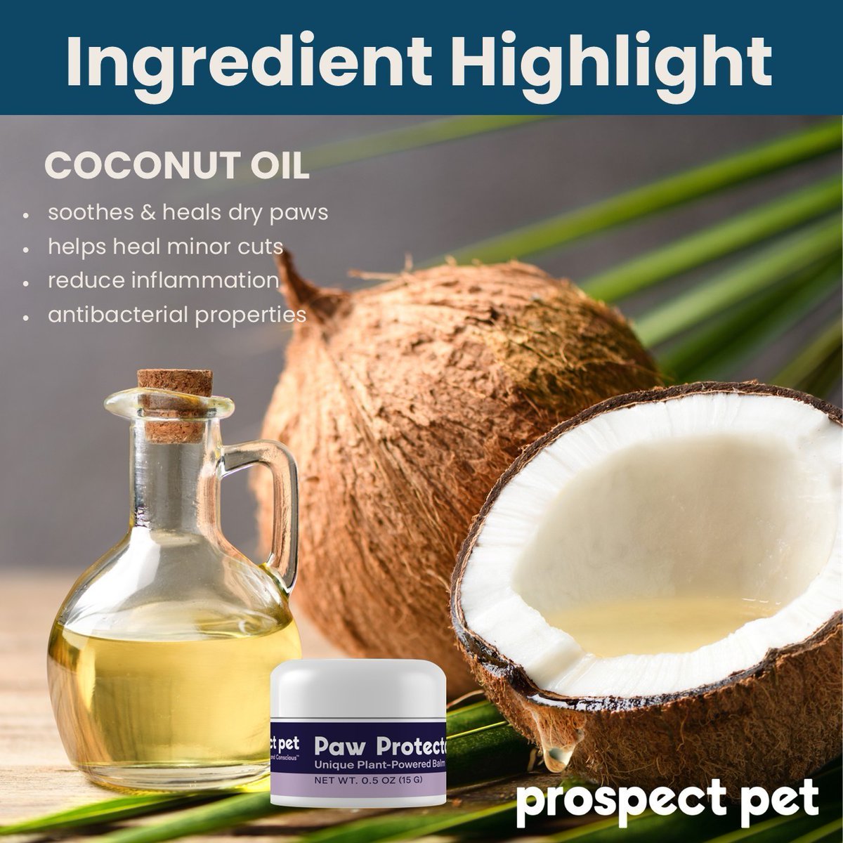 ProspectPet's tweet photo. 🥥🐾 Coconut oil in Paw Protector soothes and helps heal dry paws while providing natural anti-inflammatory support. 💛 https://t.co/CyOBcwee9G