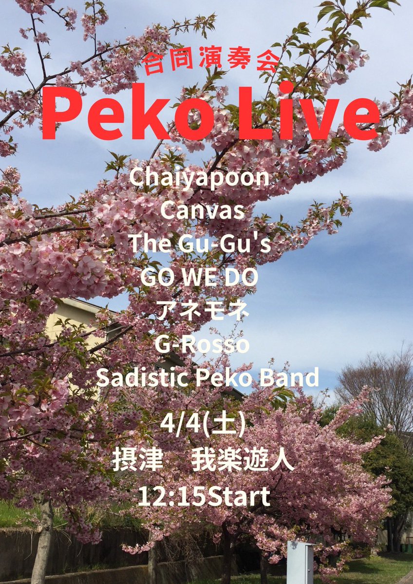 アネモネ @4/4(土) 我楽遊人（がらくゆうじん） tweet media