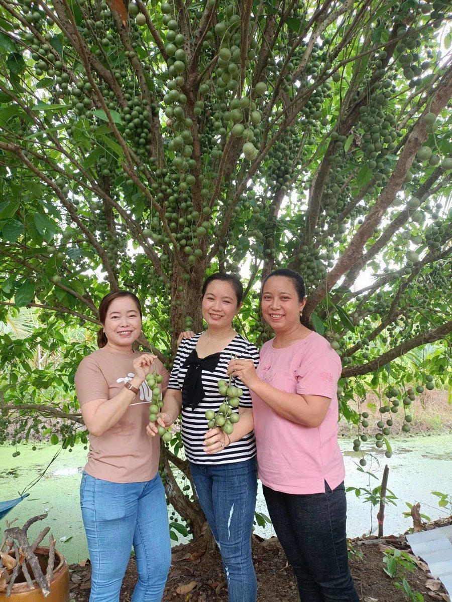 pat21tap's tweet photo. Nghe nói các trò thích cô mặc quần jean bó sát hả. https://t.co/TBRTRaRqqc
