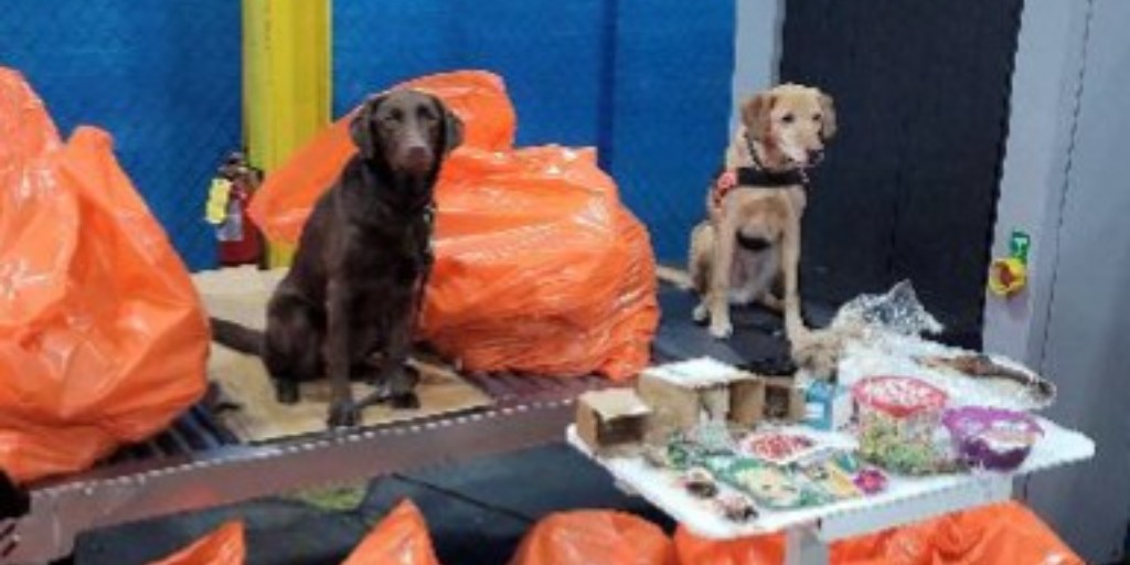 Director of Field Operations Chicago tweet media