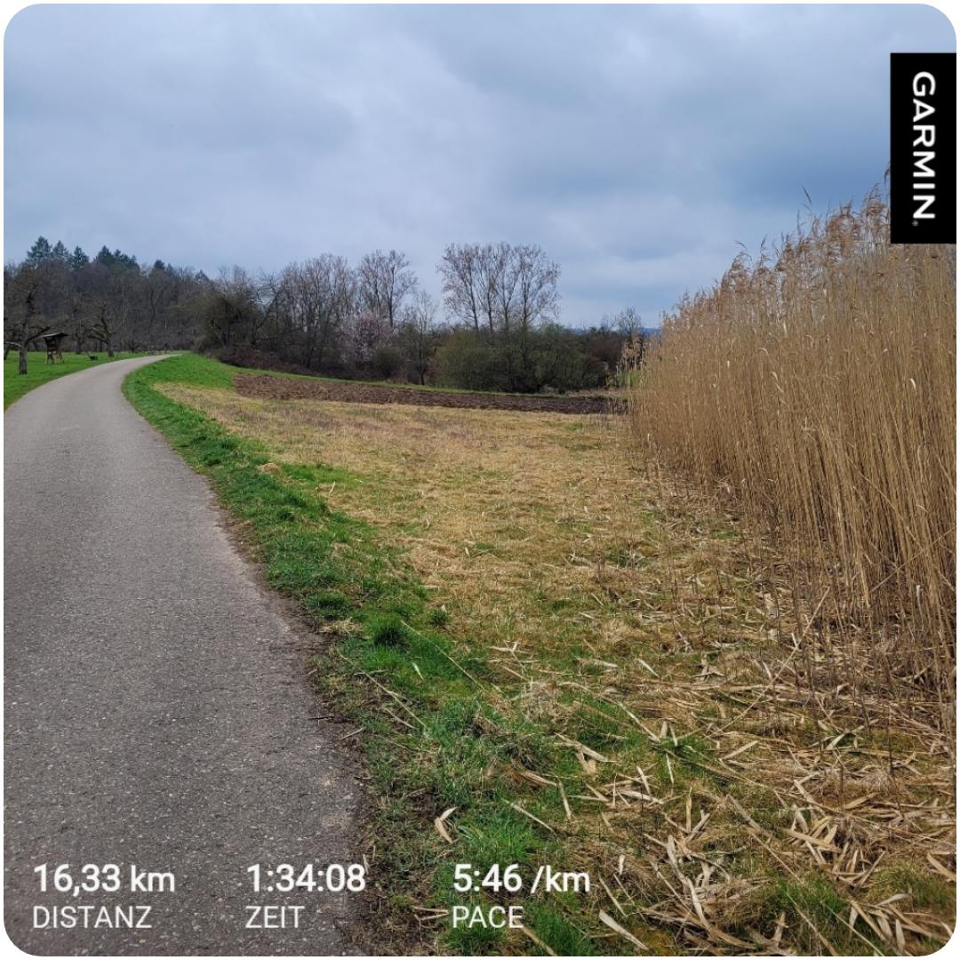 Andi Running tweet media