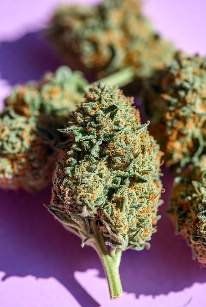 SNSEEDSUK's tweet photo. 🍇⛽NEW STRAIN DROP - GRAPE GASOLINE IS NOW AVAILABLE ON https://t.co/luIFQIFX5V
A cross of Galactic Grape and Original Sour Diesel. https://t.co/fH1W6abWk3