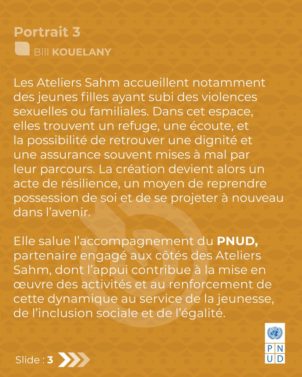 PNUD Rép du Congo tweet media