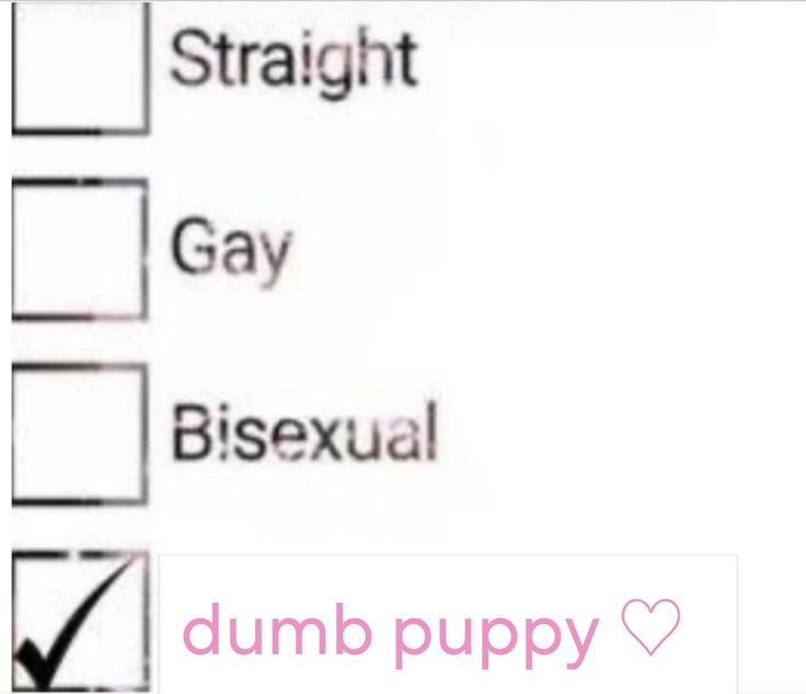 🐾Puppy boy 🐾 tweet media