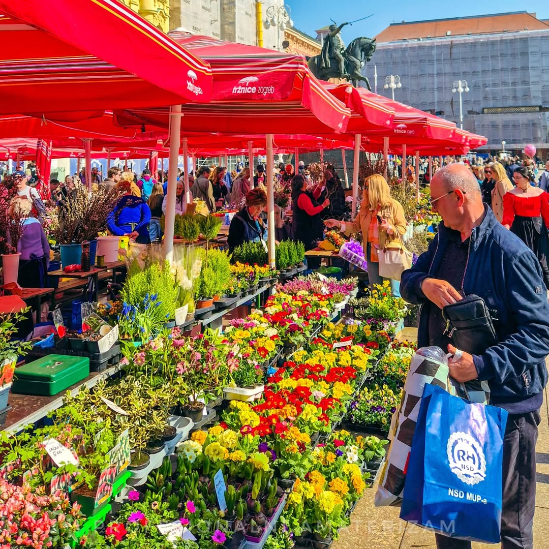 Colors that will brighten your day! 🌸🌼🌷🌺

📷 IG profesionalni.amaterizam

#VisitZagreb #LoveZagreb #Zagreb