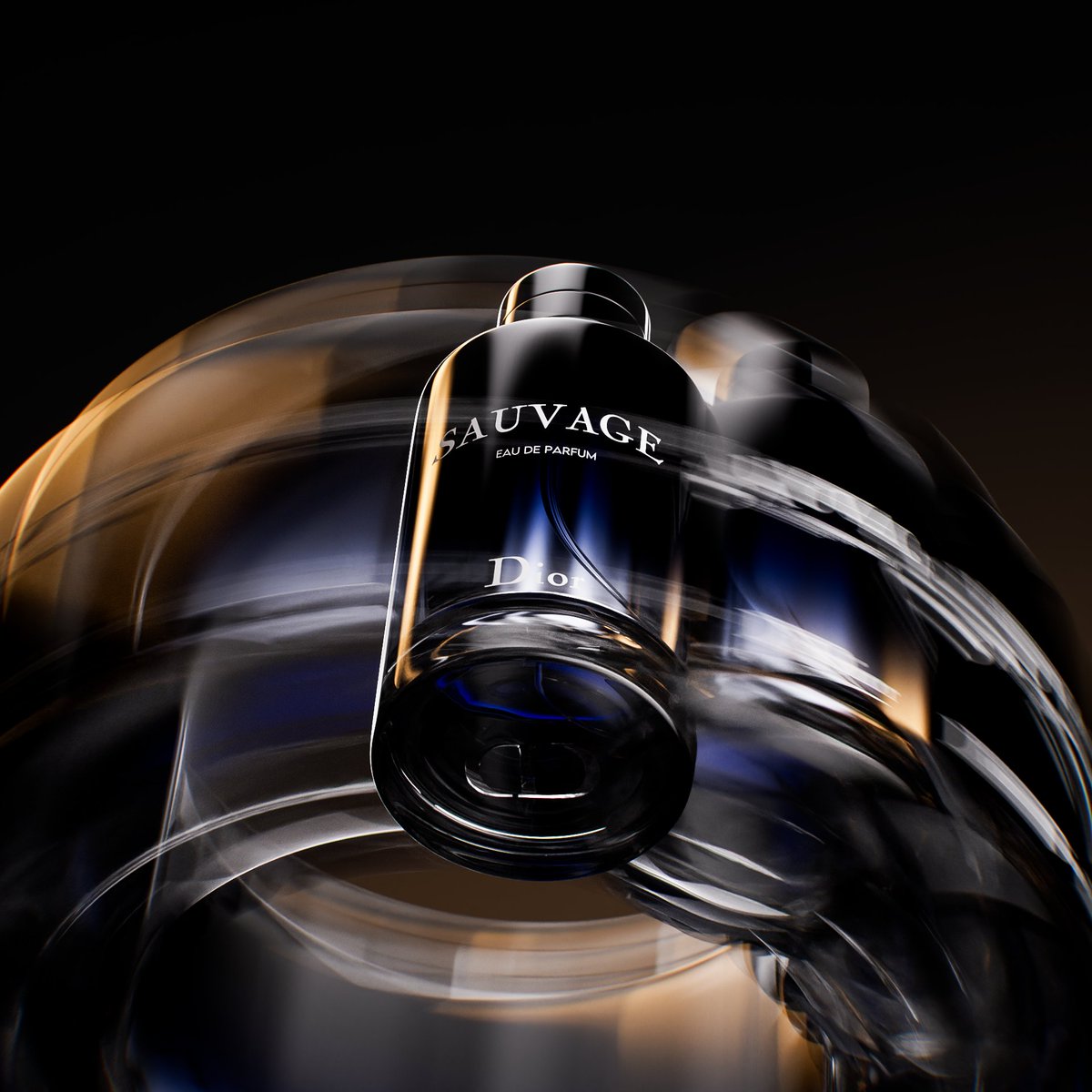 𝐃𝐮𝐧𝐜𝐚𝐧𝐑𝐨𝐬𝐞 ✦ tweet media