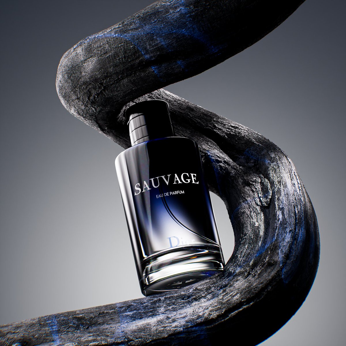 𝐃𝐮𝐧𝐜𝐚𝐧𝐑𝐨𝐬𝐞 ✦ tweet media