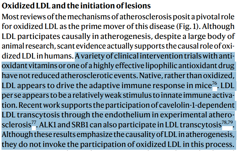 Christoffer Baustad Nilsen 🐈‍ tweet media