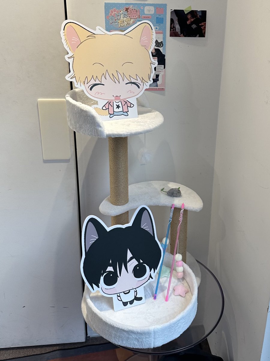 ユイ☆彡 tweet media