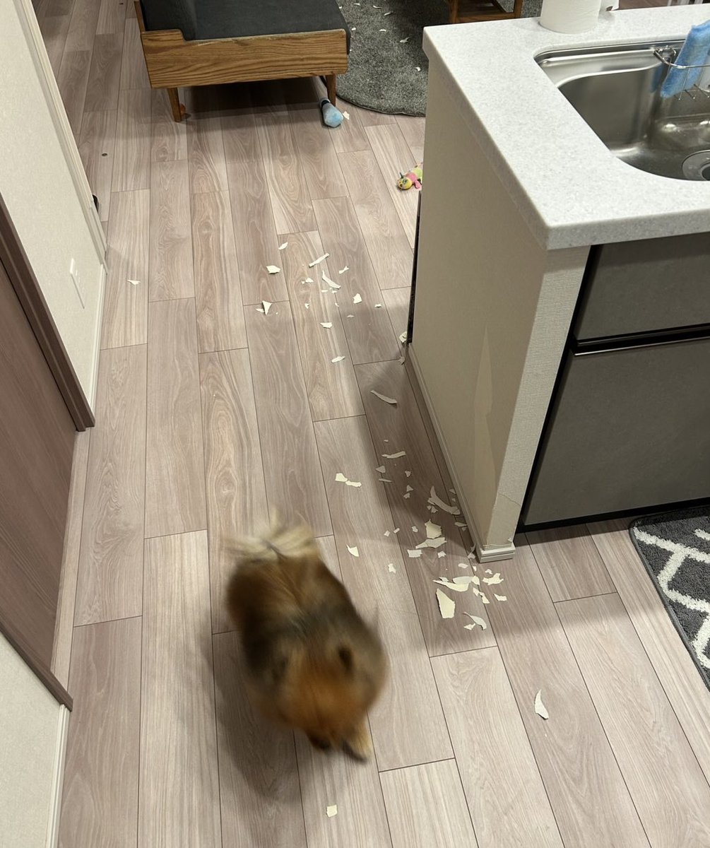 ミルモとポン! tweet media